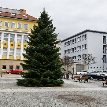 
                                Na náměstí Republiky už stojí vánoční strom. Desetimetrovou jedli ojíněnou věnovali manželé Koneční z Olomučan. FOTO: Michal Záboj
                                    