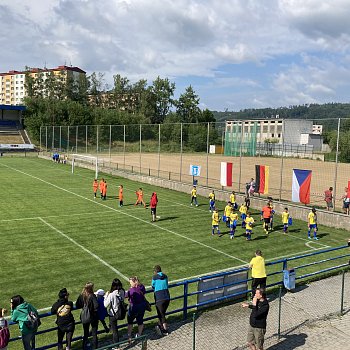 
                                Mezinárodní turnaj mladších žáků ve fotbalu na hřišti v Údolní ulici. FOTO: Kristýna Kadlecová
                                    