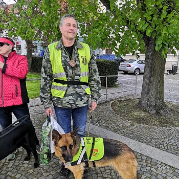 
                                Soutěž vodicích psů Cesta ve tmě obsadila centrum Blanska. FOTO: Renata Spotzová
                                    