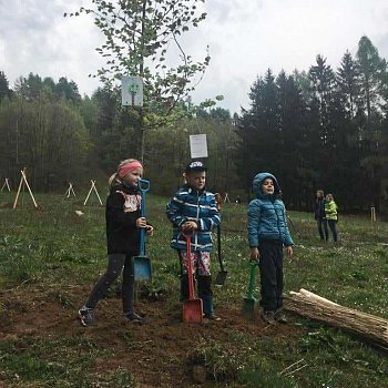 
                                Se sázením stromů na Palavě pomáhaly děti z mateřských škol.. FOTO: Jana Tesařová
                                    