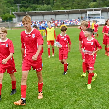 
                                Deset družstev se v sobotu utkalo na 3. ročníku mezinárodního fotbalové turnaje mladších žáků. FOTO: Michal Záboj
                                    