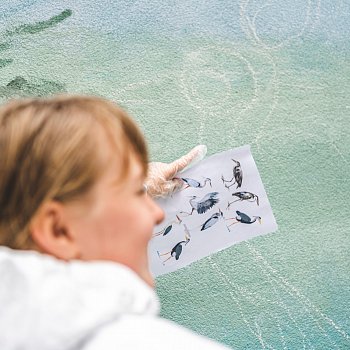 
                                Opravený jez nově oživily také malby vodního ptactva – autory jsou děti ze Základní umělecké školy Blansko. FOTO: Petra Voet
                                    