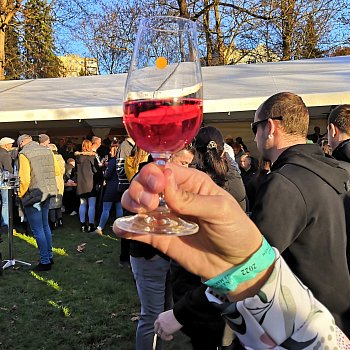 
                                V sobotu se v parku konala degustace mladých vín Na víno s Martine FOTO: Leona Voráčová
                                    