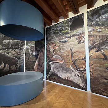 
                                Nová stálá expozice Obrazy z Moravského Švýcarska v muzeu přiblíží objevitele Moravského krasu. FOTO: Pavlína Komínková 
                                    