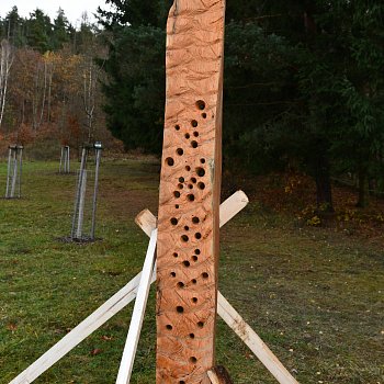 
                                Instalace dřevěných soch na Palavě. FOTO: Michal Záboj
                                    