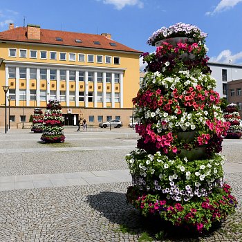 
                                Pěší zóny v centru města oživily závěsné květináče a stojaté nádoby s petúniemi. FOTO: Leona Voráčová
                                    